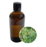 EO)  Tea Tree 10ml/30ml/50ml