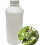 FO) MORINGA 100ml