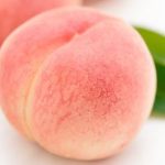 젤캔들 겸용향) 복숭아(Peach)100ml - 이미지 3