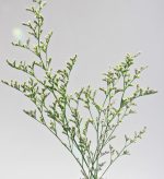 프리저브드(미스티-블루/ 그린/  버건디색상 선택 1 )약 12g - 이미지 3