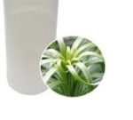 FO Citronella 100ml