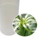 FO시트로넬라(Citronella)100ml