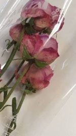 드라이플라워-자나장미(핑크)10g - 이미지 2