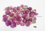 Dried Flower -(Gomphrena globosa ) Orange (10g) - Image 2
