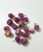 드라이플라워-천일홍(  바이올렛- violet 10g)