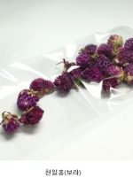 Dried Flower -(Gomphrena globosa ) Orange (10g) - Image 3