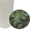 F.O) 허발향 100ml