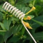 디퓨저  발향스틱-골뱅이 Set/5ea(약 25cm)