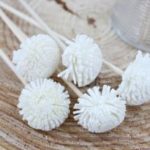 Diffuser stick - 5 petals (small)