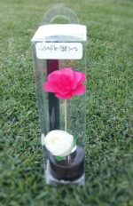 PT DIFFUSER CLEAR Box 8 * 8 * 30.5cm - Image 2