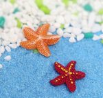 SY087 (candle accessories) Mini starfish (red + orange) 2p
