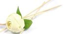 Diffuser Stick - Green Leaf  One-Rose