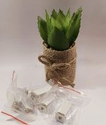 클립-차량용 석고방향제 클립5ea( 화이트 /블랙선택) - 이미지 2