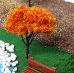 SY177-Miniature Maple (Maple tree / 1ea) - Image 2