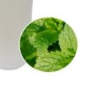 F.O) 화이트 자스민 & 민트 (WHITE JASMINE &MINT) 100ml - 이미지 2