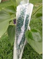 프리저브드(미스티-블루/ 그린/  버건디색상 선택 1 )약 12g - 이미지 2