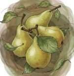 FO) English Pear & Freesia  (Swiss Cosmo) 100ml - Image 3