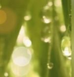 FO) Silver Mountain Water(COSMO) 100ml - Image 2