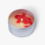 Handmade Soap Mould Koi (Fish) 3D (MH235)